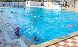 Landscape Pools